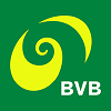 Basler Verkehrs-Betriebe (BVB)